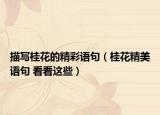 描寫桂花的精彩語句（桂花精美語句 看看這些）