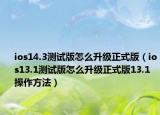 ios14.3測試版怎么升級正式版（ios13.1測試版怎么升級正式版13.1 操作方法）