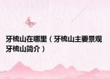 牙梳山在哪里（牙梳山主要景觀 牙梳山簡(jiǎn)介）