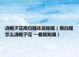 澆梔子花用白醋還是陳醋（用白醋怎么澆梔子花 一看就知道）