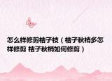 怎么樣修剪桔子枝（桔子秋梢多怎樣修剪 桔子秋梢如何修剪）