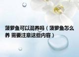 菠蘿魚可以混養(yǎng)嗎（菠蘿魚怎么養(yǎng) 需要注意這些內(nèi)容）