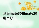 華為mate30和mate20哪個好