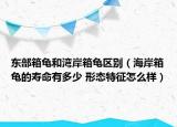 東部箱龜和灣岸箱龜區(qū)別（海岸箱龜?shù)膲勖卸嗌?形態(tài)特征怎么樣）