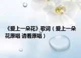 《愛上一朵花》歌詞（愛上一朵花原唱 請看原唱）