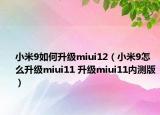 小米9如何升級miui12（小米9怎么升級miui11 升級miui11內(nèi)測版）