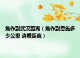 焦作到武漢距離（焦作到恩施多少公里 請看距離）