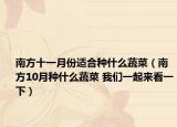 南方十一月份適合種什么蔬菜（南方10月種什么蔬菜 我們一起來看一下）