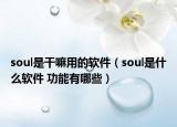 soul是干嘛用的軟件（soul是什么軟件 功能有哪些）