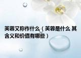 芙蓉又稱作什么（芙蓉是什么 其含義和價值有哪些）