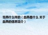 雪燕什么樣的（血燕是什么 關(guān)于血燕的信息簡介）