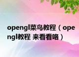 opengl菜鳥教程（opengl教程 來看看咯）