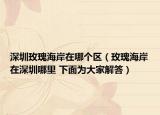 深圳玫瑰海岸在哪個(gè)區(qū)（玫瑰海岸在深圳哪里 下面為大家解答）