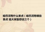 哈巴河有什么景點(diǎn)（哈巴河有哪些景點(diǎn) 給大家推薦這三個(gè)）