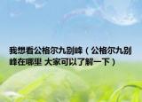 我想看公格爾九別峰（公格爾九別峰在哪里 大家可以了解一下）