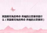 英國(guó)垂耳兔的壽命 養(yǎng)殖的注意事項(xiàng)是什么（英國(guó)垂耳兔的壽命 養(yǎng)殖的注意事項(xiàng)）