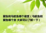 鲅魚(yú)和馬鮫魚(yú)哪個(gè)便宜（馬鮫魚(yú)和鲅魚(yú)哪個(gè)貴 大家可以了解一下）