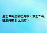 道士30級去哪里升級（術士23級哪里升級 什么地方）