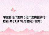哪里看行尸走肉（行尸走肉在哪可以看 關(guān)于行尸走肉的簡介信息）