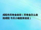 咸陽市養(yǎng)老金查詢（養(yǎng)老金怎么查詢咸陽 今天小編就來說說）