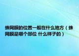 蛛網(wǎng)膜的位置一般在什么地方（蛛網(wǎng)膜是哪個(gè)部位 什么樣子的）