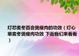 燈芯麥冬百合煲瘦肉的功效（燈心草麥冬煲瘦肉功效 下面我們來看看）