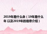 2019年是什么命（19年是什么年 以及2019年的信息介紹）