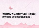 微信有沒有花唄那種功能（微信花唄在哪里 微信有花唄功能嗎）