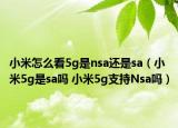小米怎么看5g是nsa還是sa（小米5g是sa嗎 小米5g支持Nsa嗎）