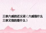 三親六戚的近義詞（六戚指什么 三親又指的是什么）