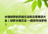 水培綠蘿的養(yǎng)殖方法和注意事項(xiàng)大全（綠蘿水培方法 一起來養(yǎng)綠蘿吧）