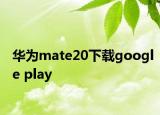 華為mate20下載google play