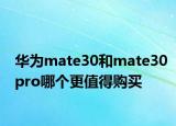 華為mate30和mate30pro哪個(gè)更值得購(gòu)買