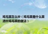 雞毛菜怎么炒（雞毛菜是什么菜 清炒雞毛菜的做法）