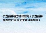 靈芝的種植方法和時間（靈芝的種植條件方法 靈芝主要分布在哪）