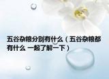 五谷雜糧分別有什么（五谷雜糧都有什么 一起了解一下）