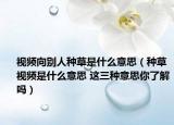 視頻向別人種草是什么意思（種草視頻是什么意思 這三種意思你了解嗎）