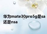 華為mate30pro5g是sa還是nsa