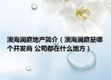 澳海瀾庭地產(chǎn)簡介（澳海瀾庭是哪個開發(fā)商 公司都在什么地方）