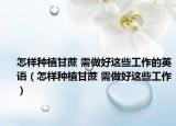 怎樣種植甘蔗 需做好這些工作的英語（怎樣種植甘蔗 需做好這些工作）