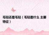 毛氈還是毛氈（毛氈是什么 主要特征）
