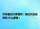 桿秤是杠桿原理嗎（有杠桿自動秤嗎 什么原理）