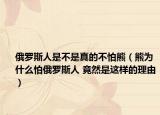 俄羅斯人是不是真的不怕熊（熊為什么怕俄羅斯人 竟然是這樣的理由）