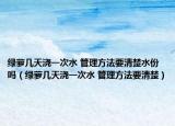 綠蘿幾天澆一次水 管理方法要清楚水份嗎（綠蘿幾天澆一次水 管理方法要清楚）