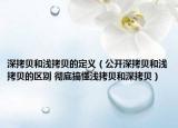 深拷貝和淺拷貝的定義（公開深拷貝和淺拷貝的區(qū)別 徹底搞懂淺拷貝和深拷貝）