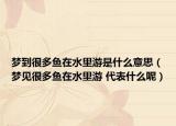 夢(mèng)到很多魚在水里游是什么意思（夢(mèng)見很多魚在水里游 代表什么呢）