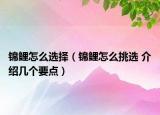 錦鯉怎么選擇（錦鯉怎么挑選 介紹幾個要點）