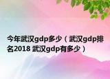 今年武漢gdp多少（武漢gdp排名2018 武漢gdp有多少）