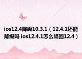 ios12.4降級10.3.1（12.4.1還能降級嗎 ios12.4.1怎么降回12.4）