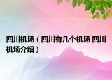 四川機(jī)場(chǎng)（四川有幾個(gè)機(jī)場(chǎng) 四川機(jī)場(chǎng)介紹）